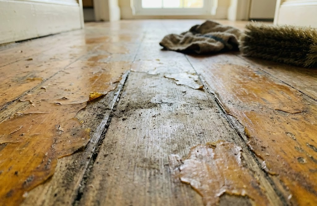 床ワックスの剥がれが汚い時の落とし方は？失敗しない手順と賃貸の費用負担目安