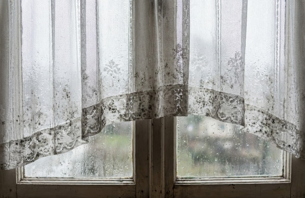 カビキラーはNG！レースカーテンのカビ取り術｜プロ推奨の傷まない落とし方