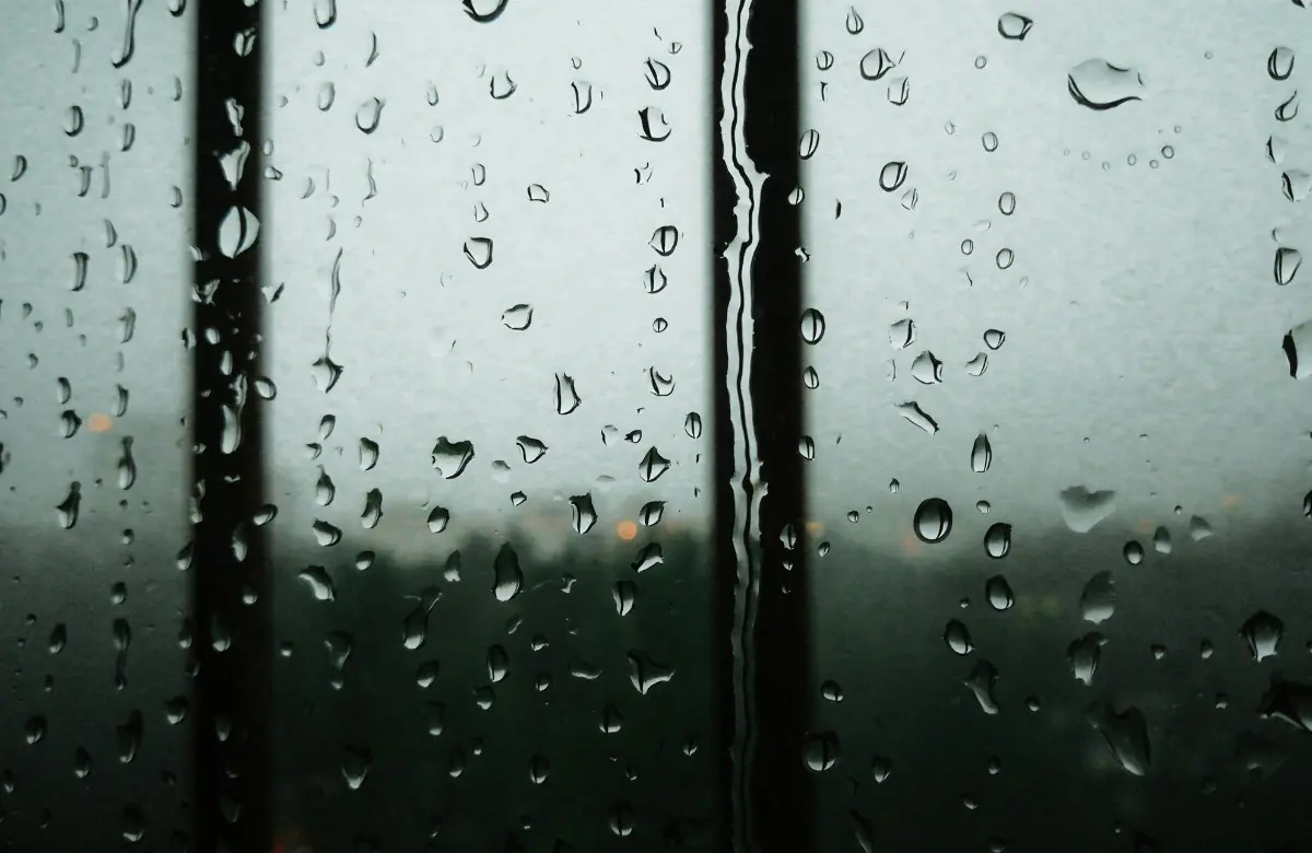 梅雨の民泊清掃で差がつく！カビ臭を残さない部屋づくり