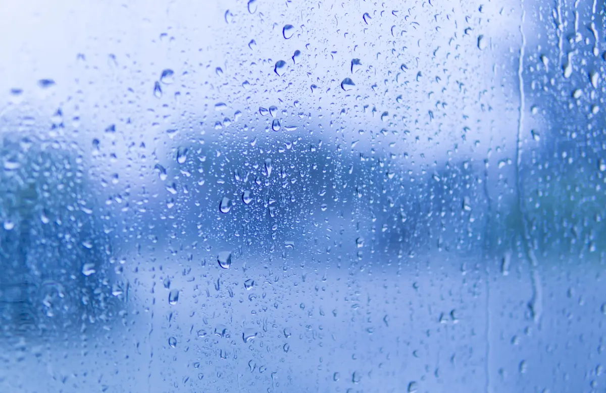 5月の民泊清掃は梅雨前が勝負！カビを防ぐための先回り掃除